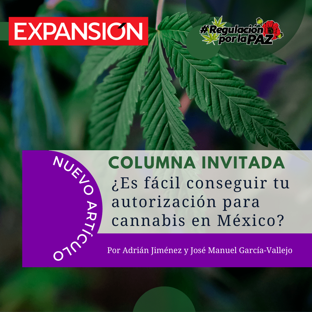 ¿Es fácil conseguir tu autorización para cannabis en México?